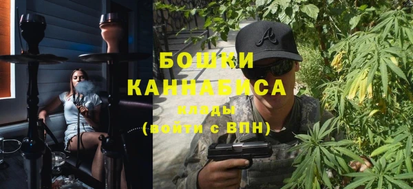 молекула духа Бронницы