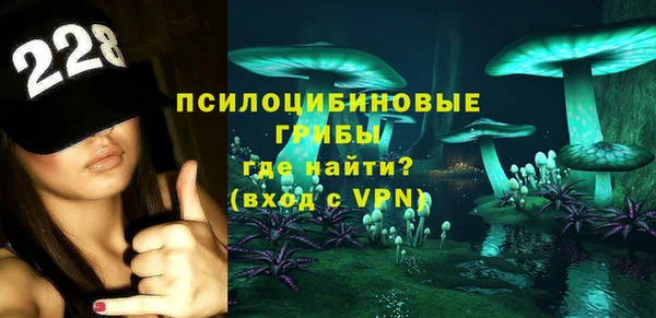 a pvp Бородино