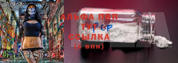 таблы Богородицк