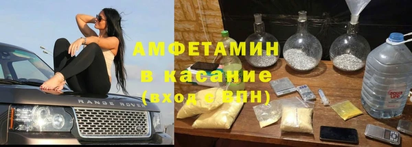молекула духа Бронницы