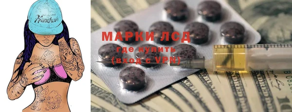 a pvp Бородино
